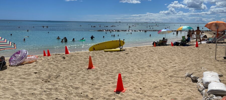 waikiki surfing